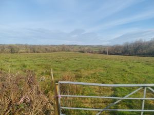 Photo 4- click for photo gallery